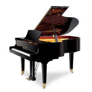 Piano Cauda Ritmuller GP170