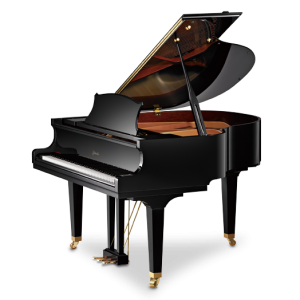 Pianos de Cauda